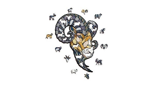 Сборная модель EWA «БАРАН» M