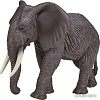 Фигурка Konik Африканский слон Самка AMW2090