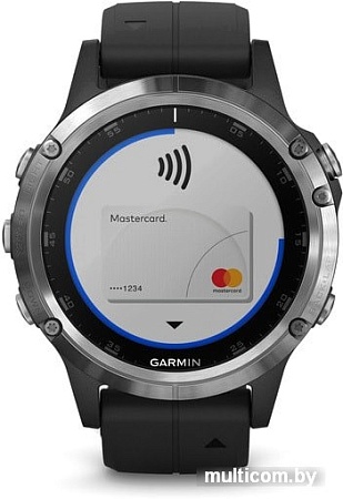 Умные часы Garmin Fenix 5 Plus Sapphire (серебристый/черный)