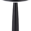 Настольная лампа Kinklight Снорк 07064-B,19