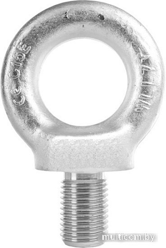 Болт TOR 1000905