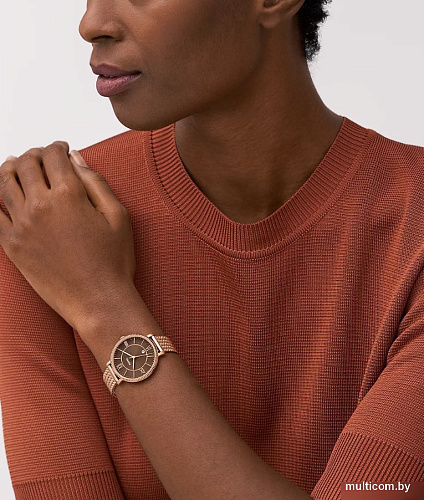 Наручные часы Fossil ES5322