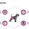 Сухой корм для собак Advance VetDiet Urinary 12 кг