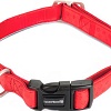 Ошейник Beeztees Маклезер 744961 (красный)