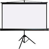 Проекционный экран PL Magna MW TRM-HD-81D