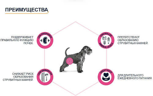 Сухой корм для собак Advance VetDiet Urinary 12 кг