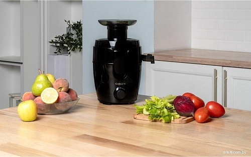 Соковыжималка Garlyn J-150