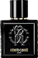 Парфюмерия Roberto Cavalli Uomo EdT (100 мл)
