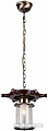 Подвесная люстра ST Luce Volantino SL150.303.01