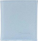 Кошелек Poshete 604-080M-BCL (голубой)