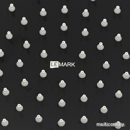 Душевая лейка Lemark LM9481BL