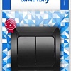 Выключатель SmartBuy SBE-02b-10-SW2-0-c