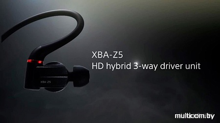 Наушники Sony XBA-Z5