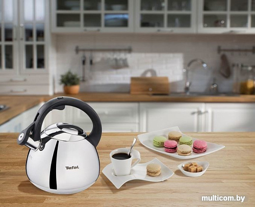 Чайник со свистком Tefal Duetto+ N4180110