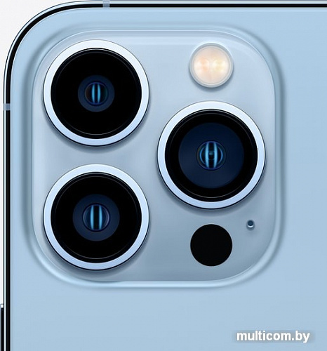 Смартфон Apple iPhone 13 Pro Max 128GB (небесно-голубой)