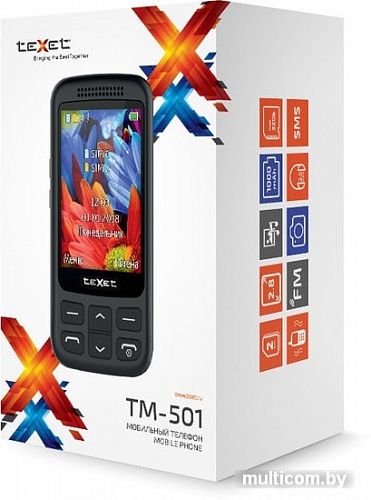 Мобильный телефон TeXet TM-501 (черный)