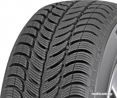Автомобильные шины Sava Eskimo S3+ 195/65R15 91T