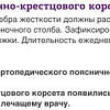 Корсет ортопедический пояснично-крестцовый Trives Т-1559 (M, бежевый)