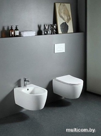 Сиденье для унитаза Aquatek AQ0009-00