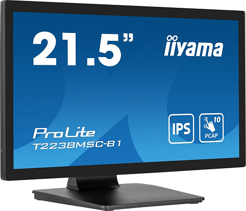 Монитор Iiyama ProLite T2238MSC-B1