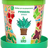 Набор для опытов Happy plant Руккола пряная hpn-16