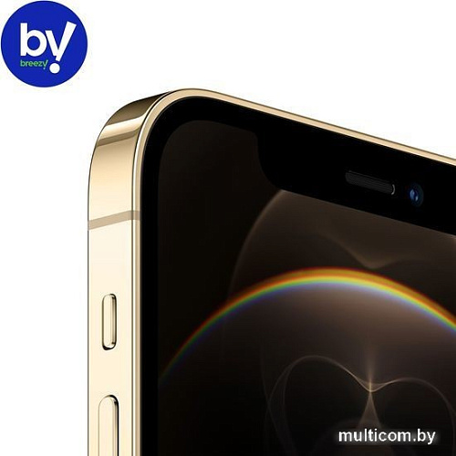 Смартфон Apple iPhone 12 Pro 128GB Восстановленный by Breezy, грейд A (золотистый)