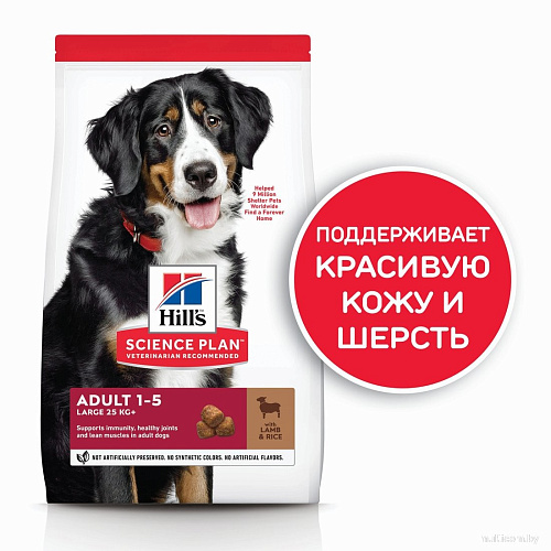Сухой корм для собак Hill's SP для взрослых собак крупных пород, с ягненком и рисом 604373 14 кг