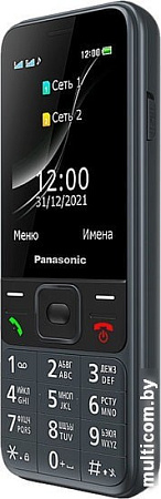 Мобильный телефон Panasonic KX-TF200RU (серый)