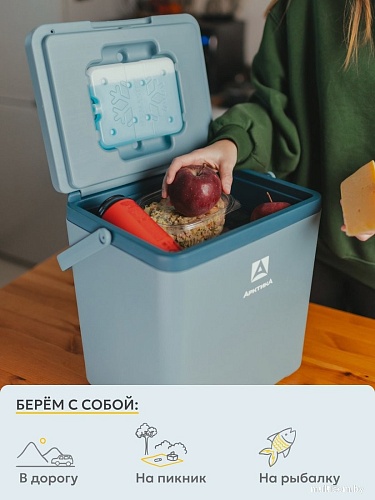 Термобокс Арктика 2200-14-BL 14л (синий)