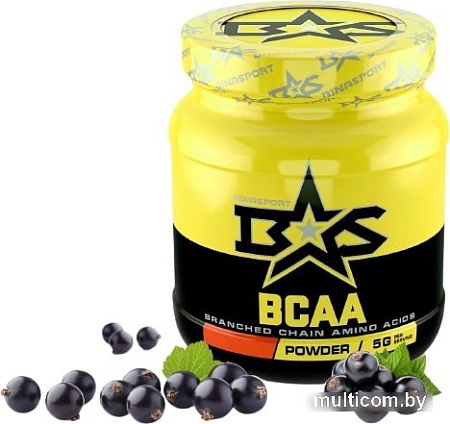Аминокислоты Binasport BCAA (500г, черная смородина)