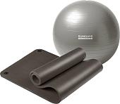 Набор для йоги Sundays Fitness Фитбол 75см IR97403 + Коврик IR97506 (серый, черный)