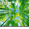 Телевизор LG 55UQ80001LA