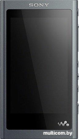 MP3 плеер Sony NW-A55HN 16GB (серый)