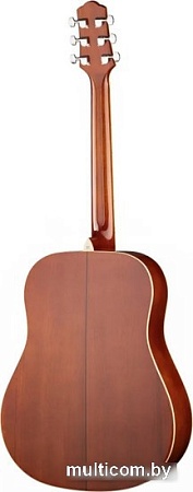 Акустическая гитара Naranda DG220VS