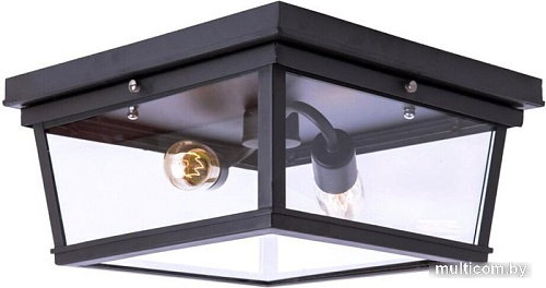 Припотолочная люстра LOFT IT LOFT3110-2C Black