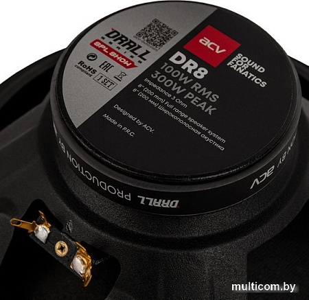 Широкополосная АС ACV DR8 Drall