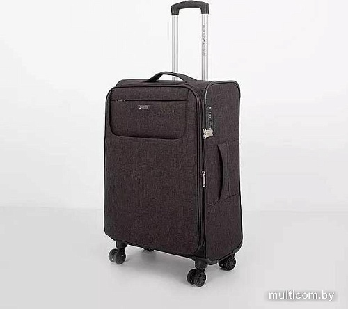Чемодан-спиннер Francesco Molinary 270-2519-3-24 (темно-серый)