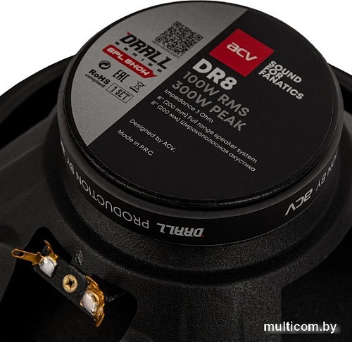 Широкополосная АС ACV DR8 Drall