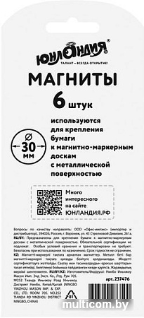 Набор магнитов Юнландия Божья коровка 237476 (6шт)