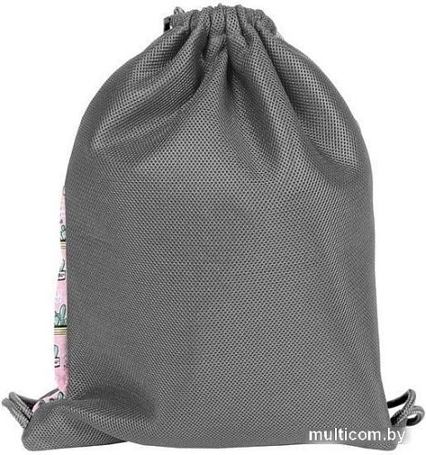 Мешок для обуви Paso PPMX20-713