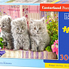Пазл Castorland Три котенка B-030330 (300 эл)