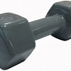 Гантель Profi-Fit PF-VDB-3 3кг (серый)