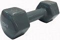 Гантель Profi-Fit PF-VDB-3 3кг (серый)