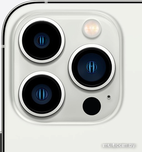 Смартфон Apple iPhone 13 Pro Max 128GB Восстановленный by Breezy, грейд B (серебристый)