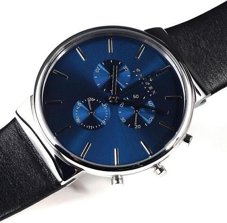 Наручные часы Skagen SKW6105