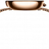 Наручные часы Pierre Cardin Marais Mirror CMA.0003