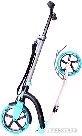 Самокат Y-Scoo RT Slicker Family Design 230 (голубой)