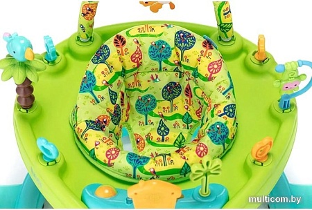 Ходунки Nuovita Gioco (зеленый/бирюзовый)