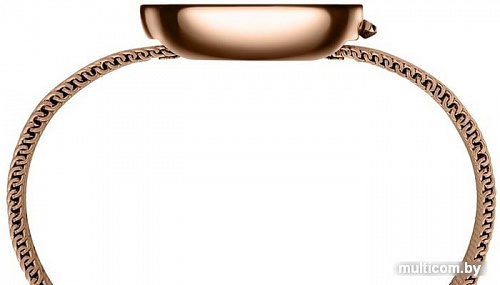 Наручные часы Pierre Cardin Marais Mirror CMA.0003