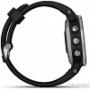 Умные часы Garmin Fenix 5S Plus (серебристый/черный)